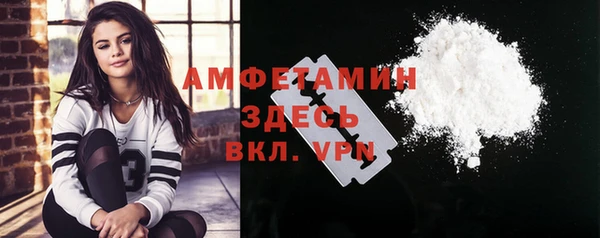 шишки Осинники