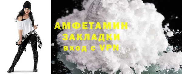 шишки Осинники