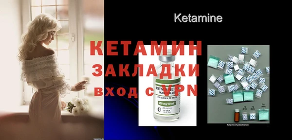 шишки Осинники