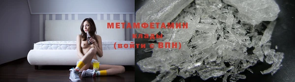 шишки Осинники