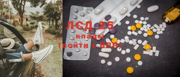 шишки Осинники