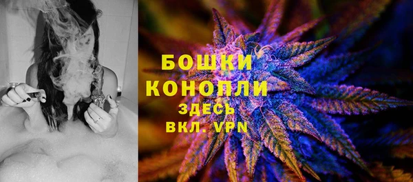 амф Гвардейск