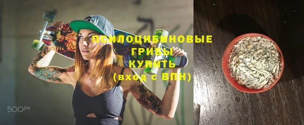 соль ск Осташков
