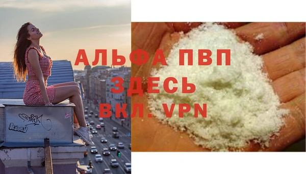 прущие крисы Няндома