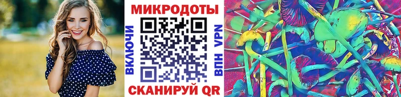 купить наркоту  Ленинск  Галлюциногенные грибы Magic Shrooms 
